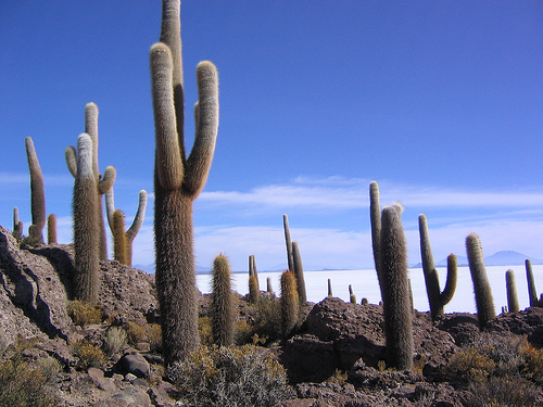 Isla de los Pescadores, Bolivia, photo by Phil Whitehouse