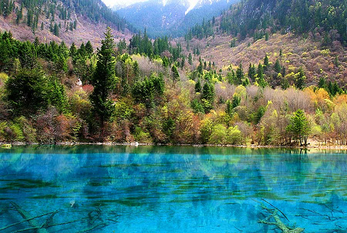 Jiuzhaigou Five Flower Lake, photo by B_cool