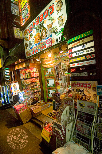 Pet shop in Shinjuku area