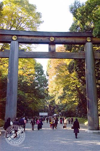 Meiji Jingu Torii (Meiji Shrine Gate)