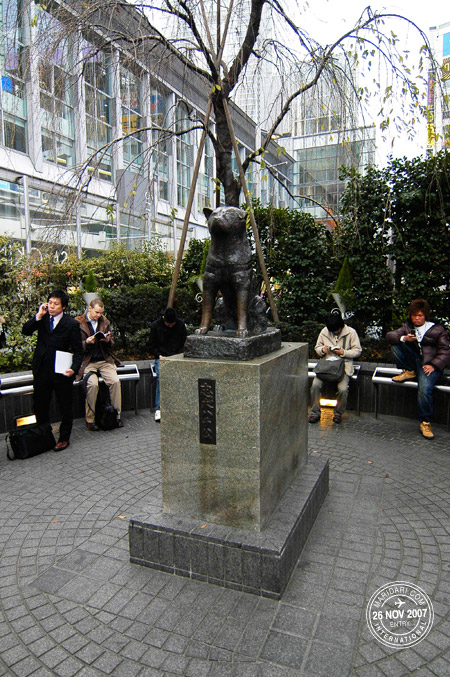 Hachiko, the faithful dog, Shibuya Station