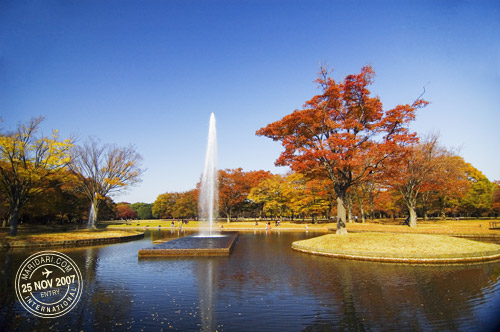 Yoyogi Park Fountain