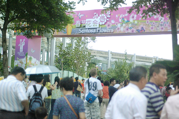 The Sentosa Flowers 2011 experience starts at the newly opened Sentosa Boarwalk