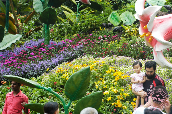 Sentosa Flowers festival 2011 on Chinese New Year celebrating the year of the Rabbit