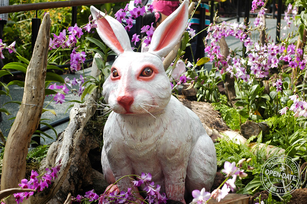 Sentosa Flowers - Year of the Rabbit 2011 - Spring Wonderland 